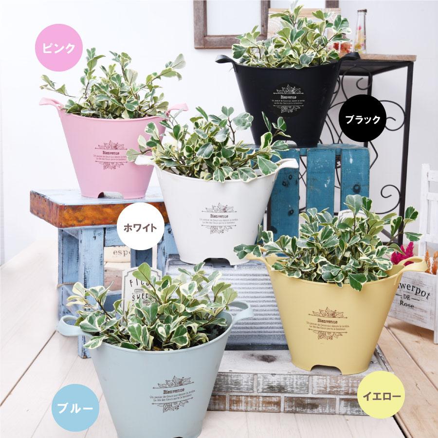 ブーケポット プランター 鉢 選べる5色 寄せ植え用 花苗用 球根用 に