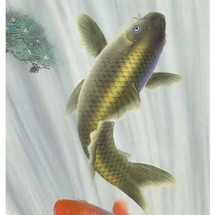 掛け軸 夫婦昇鯉 (仲田龍安) 【掛軸】【一間床・半間床】【鯉