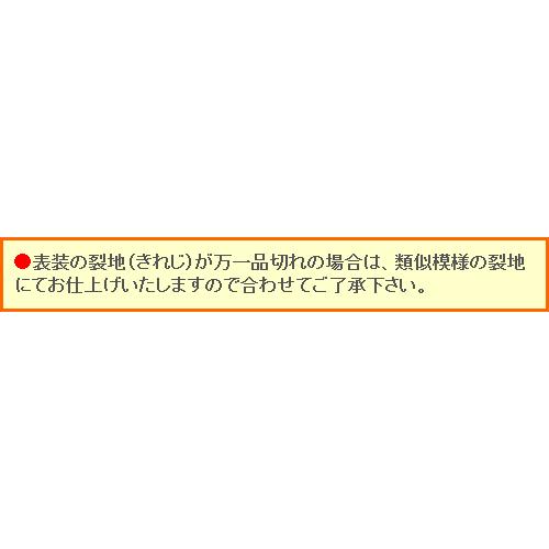 掛け軸 達磨 (桐山六郎) （掛軸小物なし） 【掛軸】 : 掛け軸・絵画の