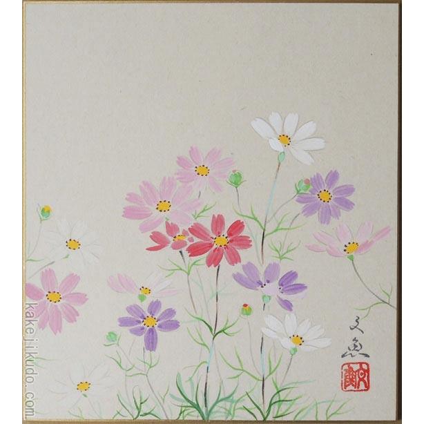 高級色紙「コスモス」文魚（色紙絵） : 掛け軸・絵画の専門店 掛軸堂