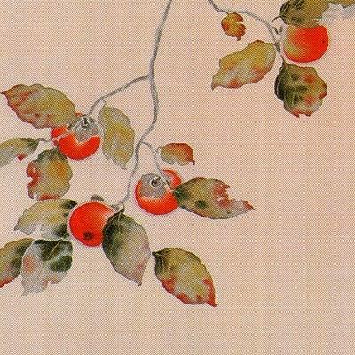 菱田春草 掛け軸 柿に猫 【掛軸】【一間床・半間床】【秋】 : 掛け軸