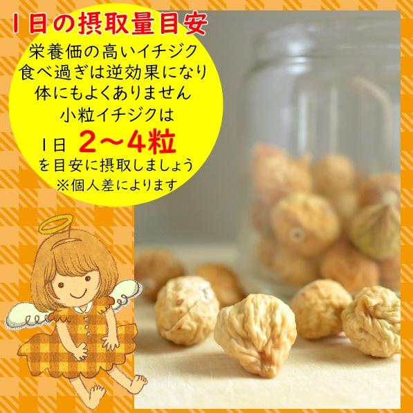 ドライいちじく ぴったりサイズ 500g 小粒 無添加,砂糖不使用 国内加工
