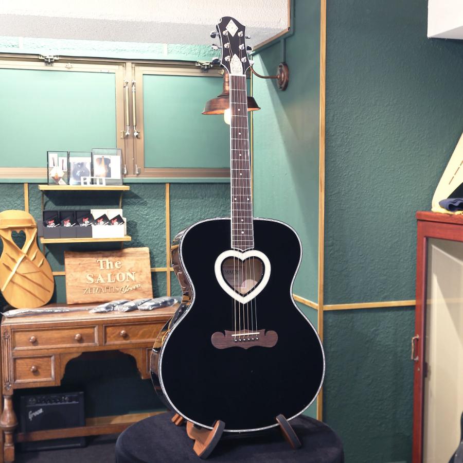 Zemaitis ゼマイティス アコースティックギター エレアコ AAJ-2500HPH