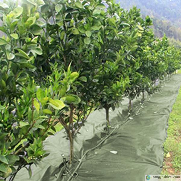 防草シート 不織布 ポリエステルPET 密度150G 1m×50m ダークグリーン