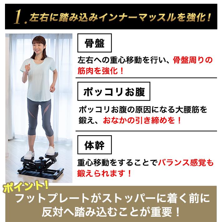 AEROLIFE（エアロライフ） ステッパー 負荷調節 サイドステッパー THE