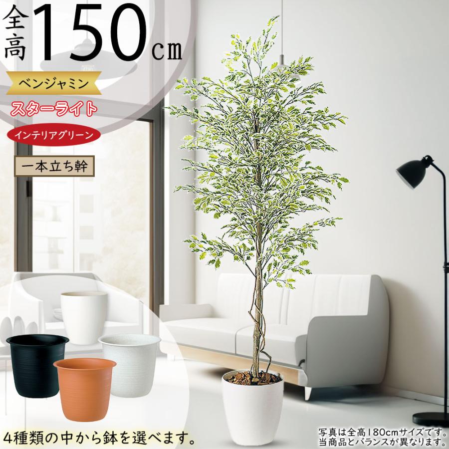 ベンジャミン おしゃれ 人気 フェイクグリーン 観葉植物 インテリア