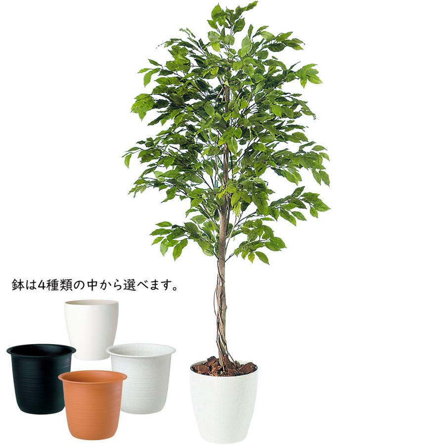 ベンジャミン 人気 おしゃれ フェイクグリーン 観葉植物 インテリア