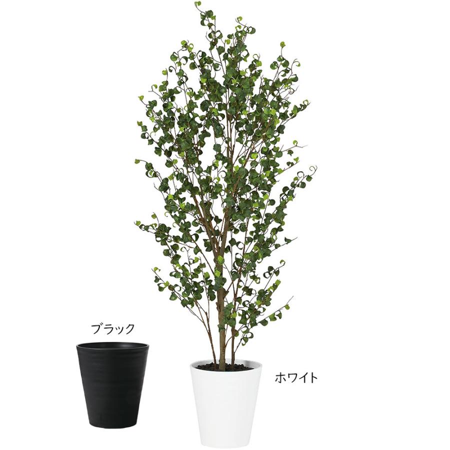 ベンジャミンバロック インテリアグリーン おしゃれ 人気 リアル