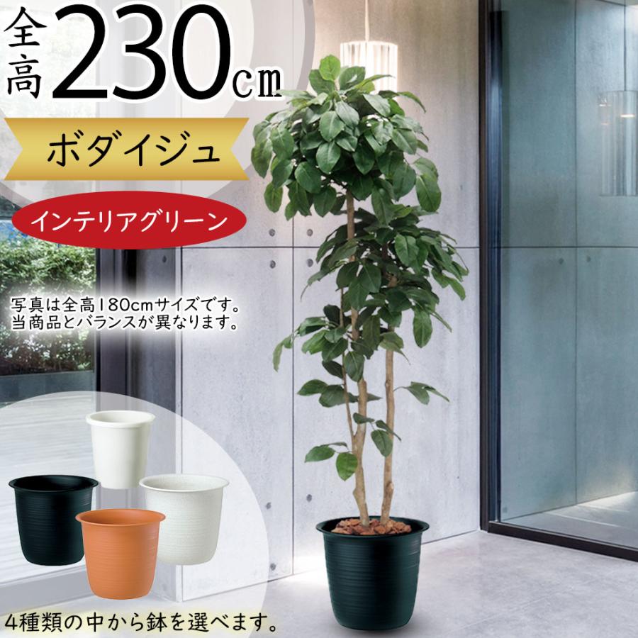 フェイクグリーン 大型 おしゃれ 人気 観葉植物 インテリアグリーン