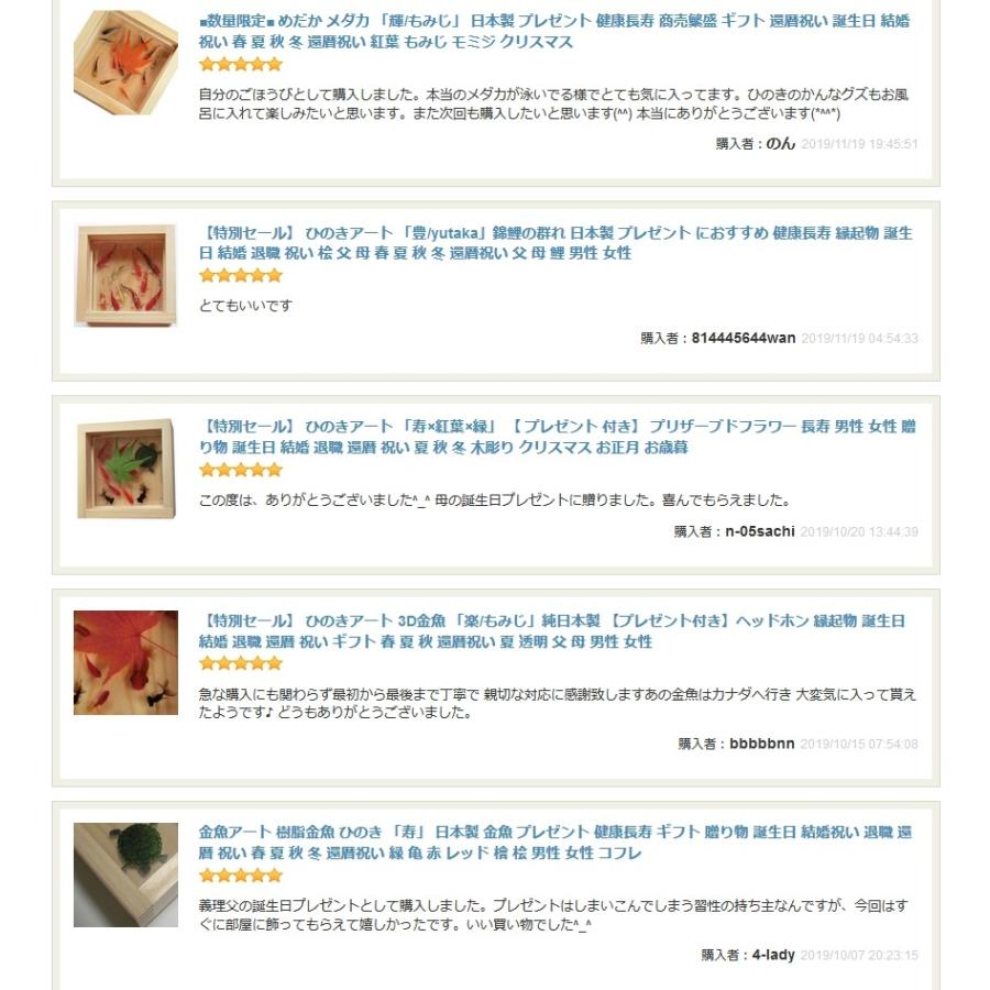 金魚アート 樹脂金魚 メダカ 還暦祝い 男性 女性 赤いもの プレゼント