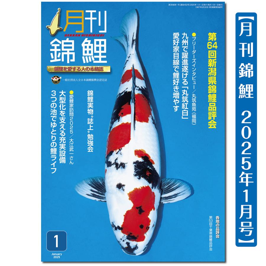 泳ぐ宝石】月刊錦鯉 2025年1月号 第64回新潟県錦鯉品評会／丸筑魚