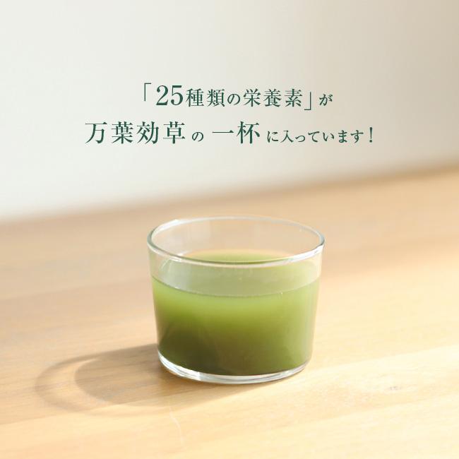 済陽式 万葉効草EX 《3箱セット》(青汁 乳酸菌 酵素ドリンク 国産 済陽