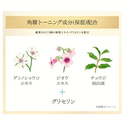 SOFINA iP 企画品 数量限定 10日間サイズ 花王 ソフィーナIP薬用 角層