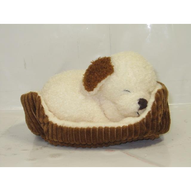 JELLY CAT（ジェリーキャット） イヌのぬいぐるみ Jellycat Napping