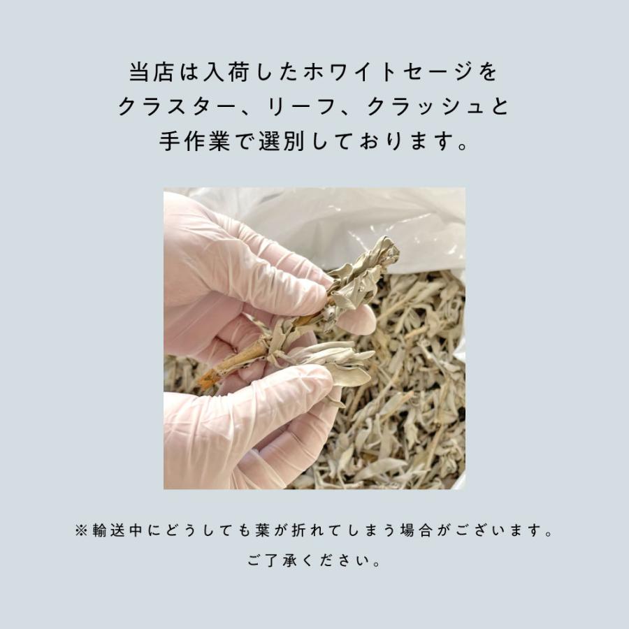 アンドエスエイチ ホワイトセージ カリフォルニア産 直輸入 無農薬