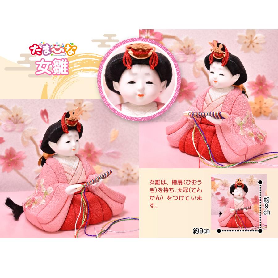 雛人形 ひな人形 木目込人形「たまひな」5人飾り 桜型 コンパクト 間口