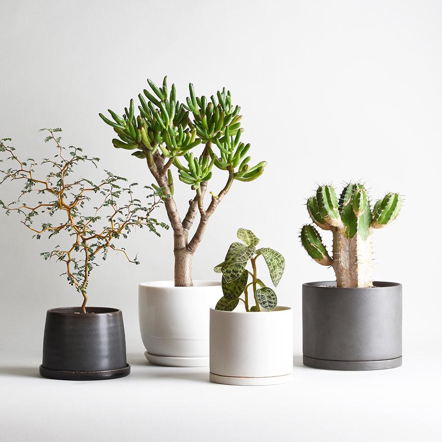 KINTO（キントー） プラントポット 191 135x115mm 植木鉢 4号用 磁器