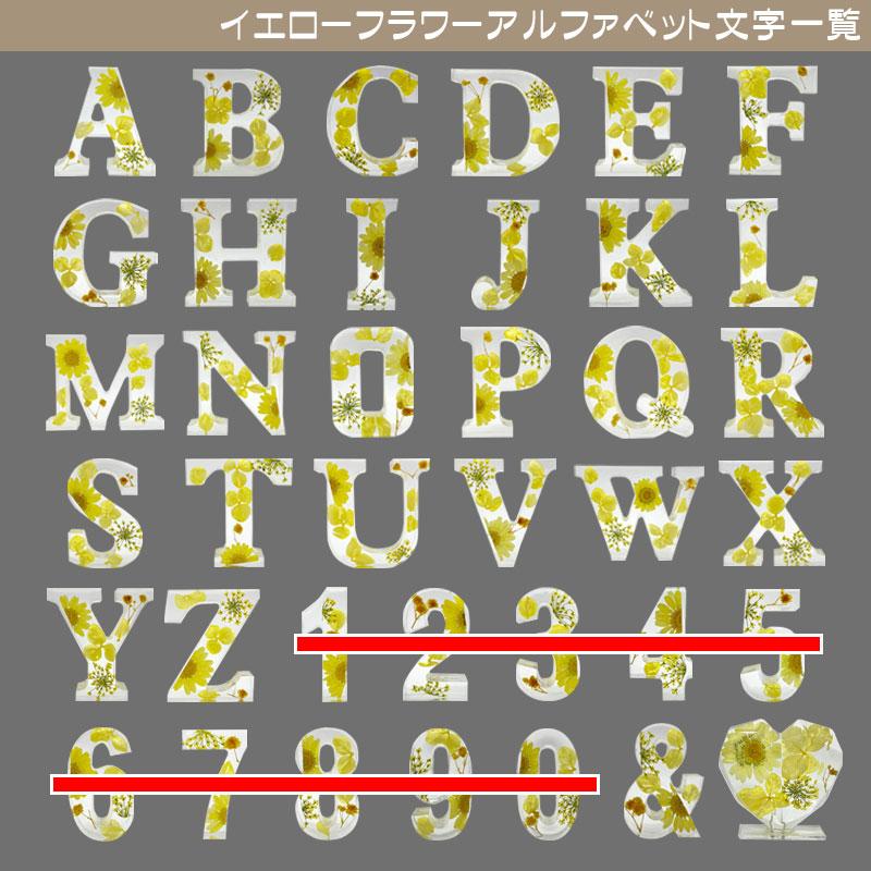 イニシャルオブジェ N〜Z 中型 (H)6cm×(D)2cm ハーバリウム風 花入り