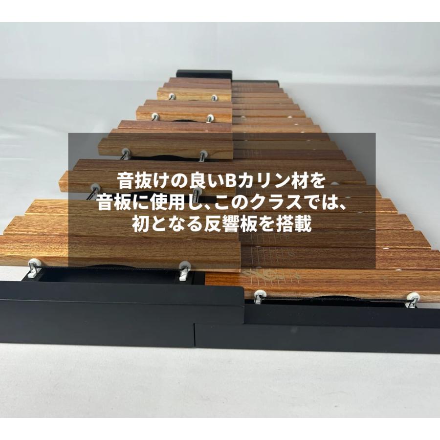 楽器 おもちゃ 知育玩具 木のおもちゃ ゼンオン 木琴 シロフォン 卓上