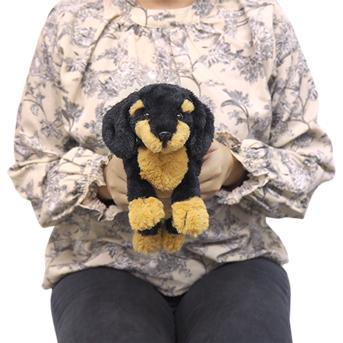 ひざわんこ SSサイズ ミニチュアダックス ブラック ダックスフント 犬