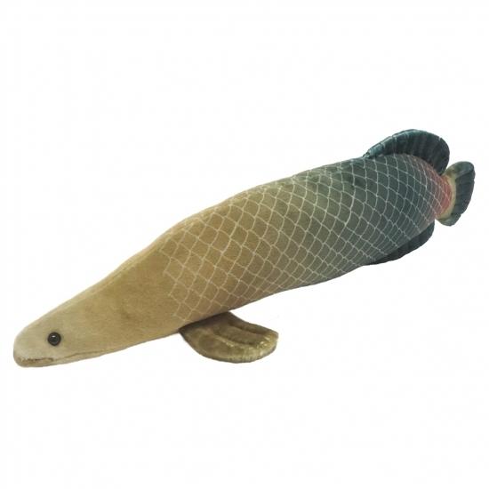 ピラルク S ぬいぐるみ 古代魚 テイクオフ : HONDA STORE - 通販