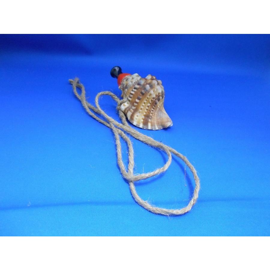 新発売 天狗 超ミニ 法螺貝 ほら貝 ホラ貝 ほらがい ホラガイ シェル
