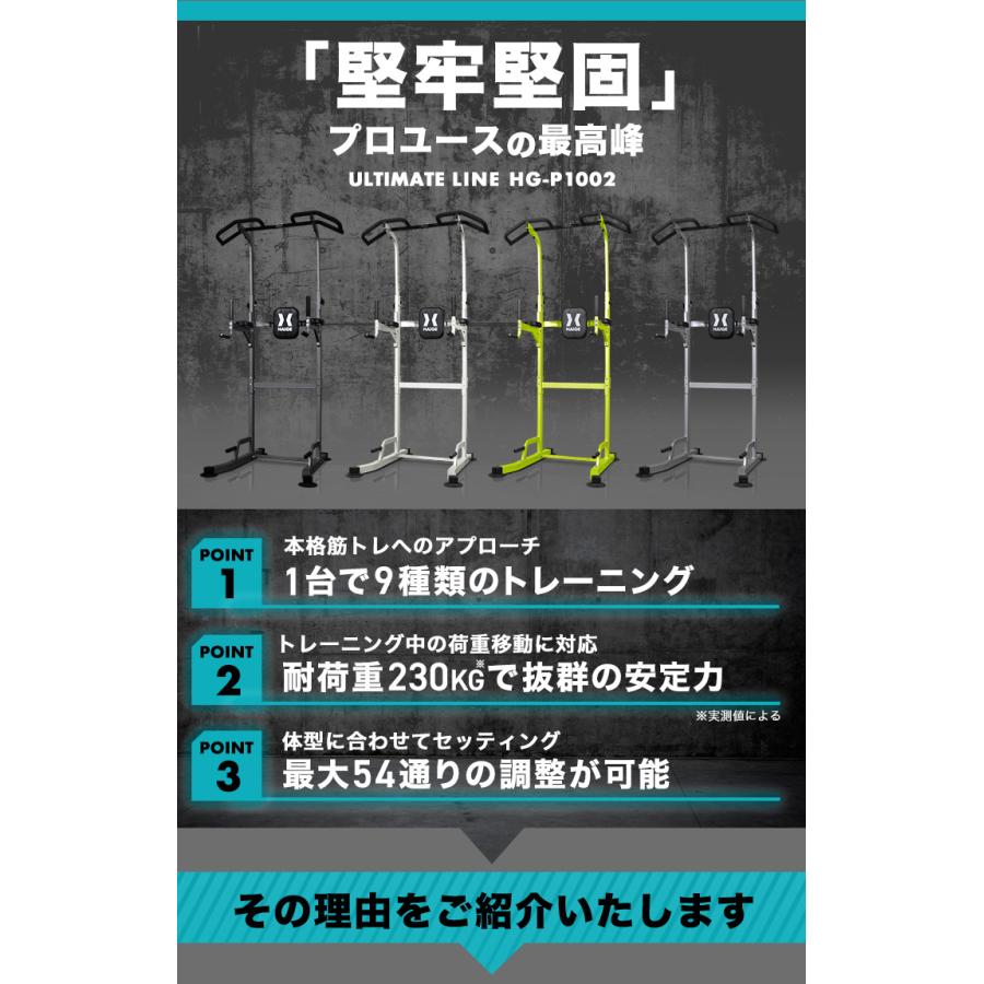 ハイガー プラップバー 懸垂バー プロユース 耐荷重230kg 懸垂 意匠