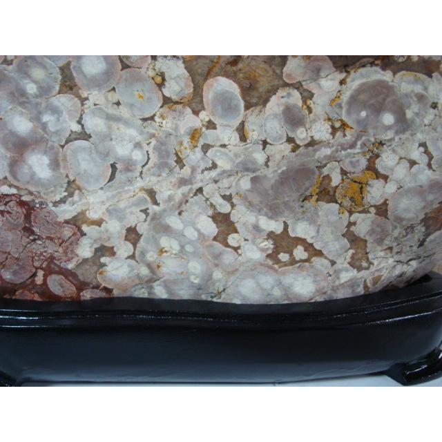 越前紋石21 : 白山紋石庵 - 通販 - Yahoo!ショッピング