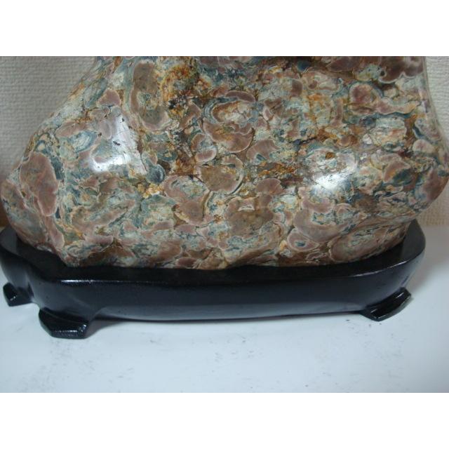 越前紋石20 : 白山紋石庵 - 通販 - Yahoo!ショッピング