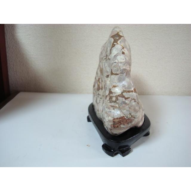 越前紋石14 : 白山紋石庵 - 通販 - Yahoo!ショッピング