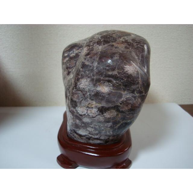 白山菊紋石26 : 白山紋石庵 - 通販 - Yahoo!ショッピング