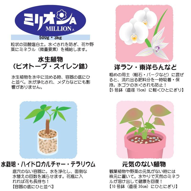 ミリオンA 100g 珪酸塩白土 【メール便送料無料】 ソフトシリカ