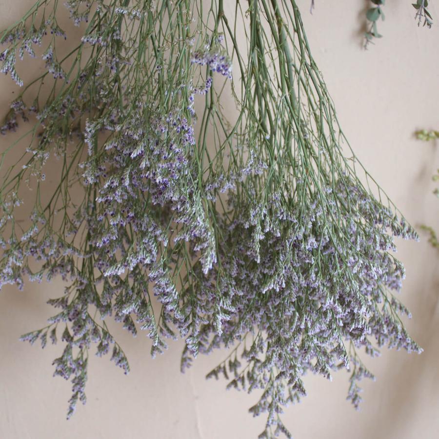 スターチス HBチース ブルーファンタジア / ドライフラワー 花材