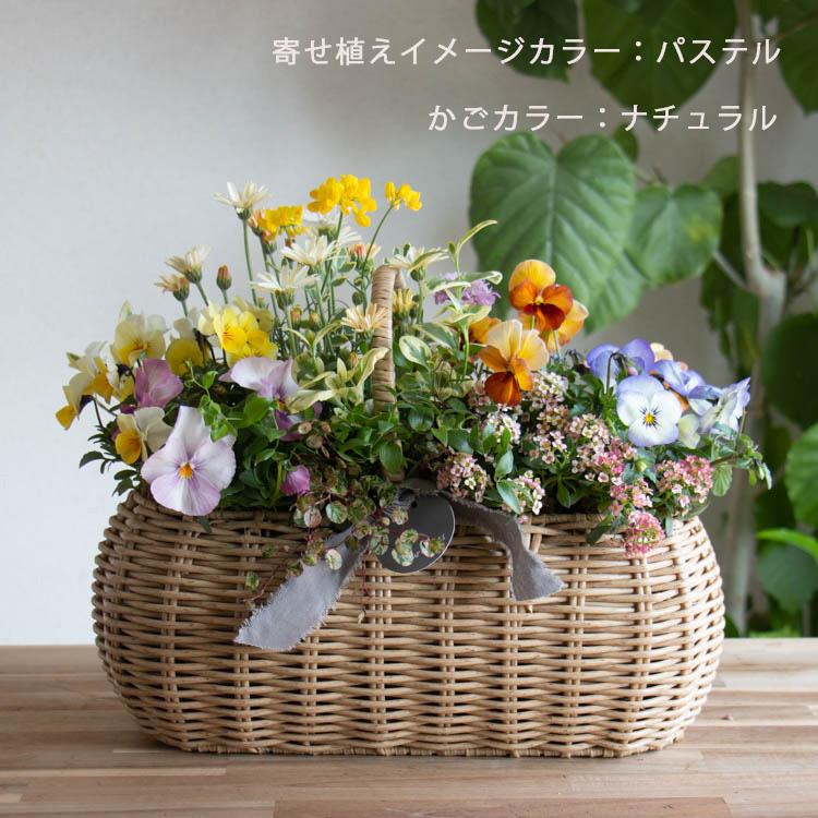 花うるるアレンジ寄せ植え「ジェミニバスケット レク」おまかせ