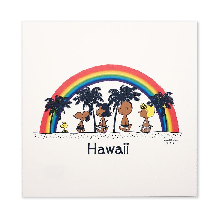 SNOOPY（スヌーピー） ハワイ限定 ハワイ直輸入 日焼けスヌーピー