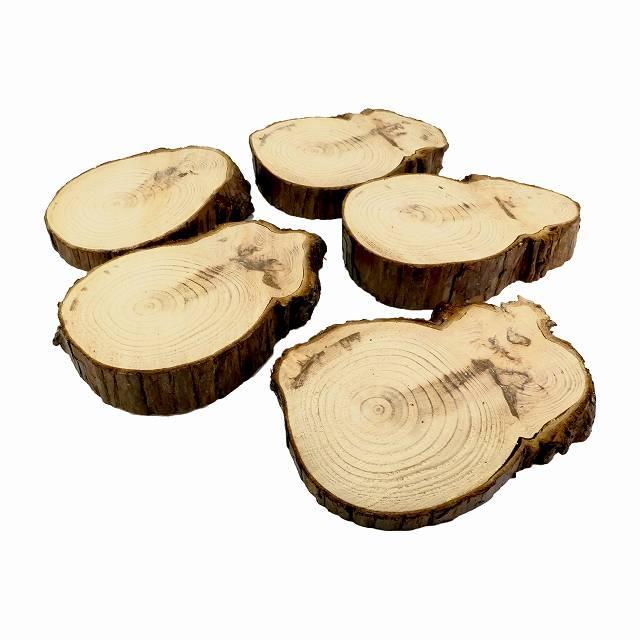 天然木の台座 ディスプレイスタンド 5個セット スギの木 切り株 変形