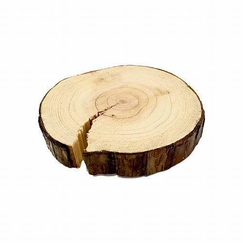 天然木の台座 ディスプレイスタンド スギの木 切り株 約11cm 木製 杉の