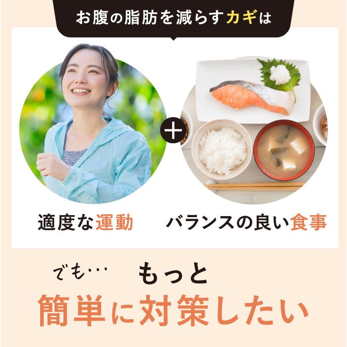 ファンファレ 【公式】 ダイエットコーヒー りそうのこーひー risou no