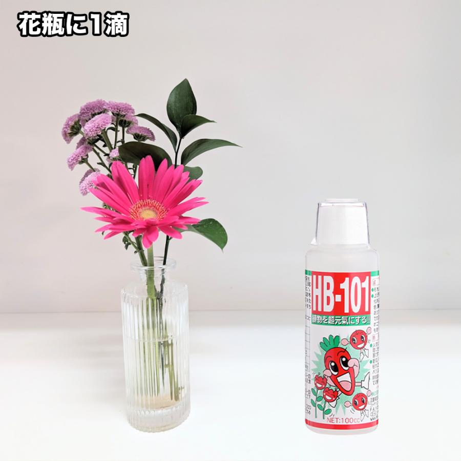 フローラ 【メーカー公式】フローラ(Flora) 天然植物活力液 HB-101 1L