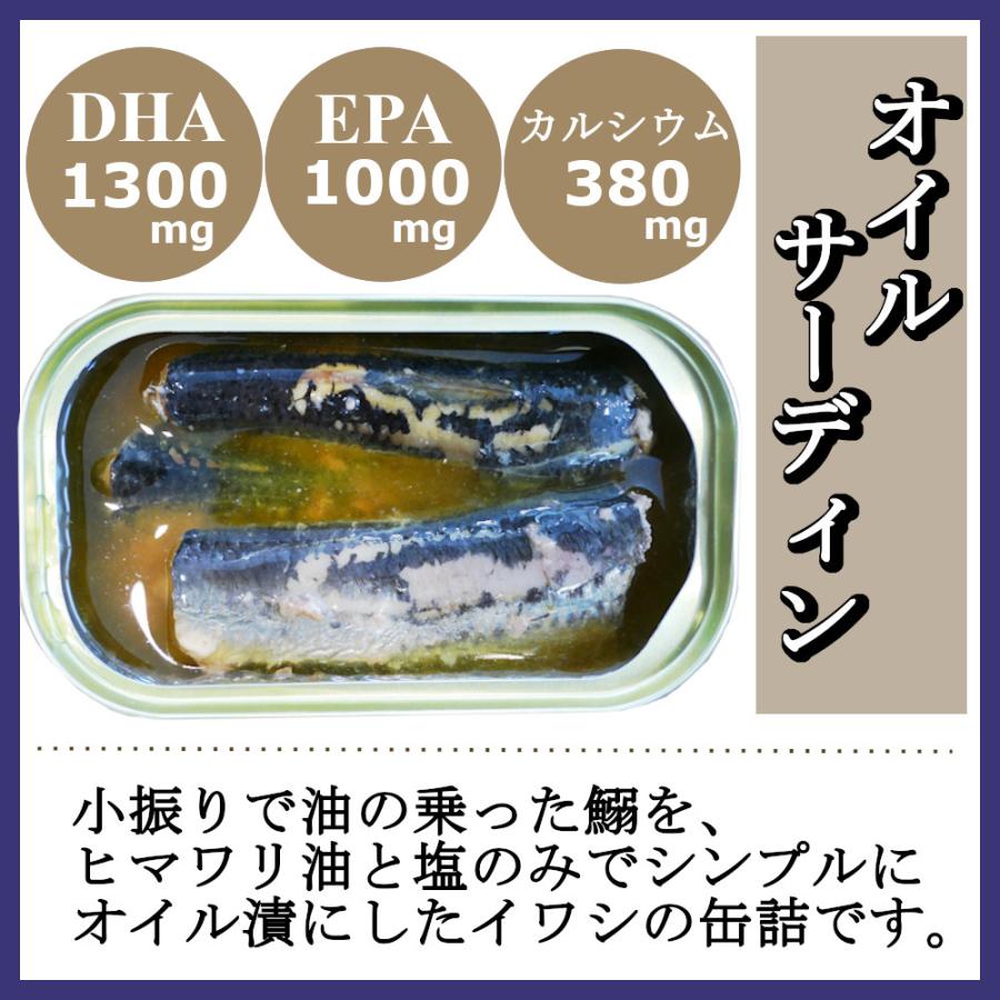 オイルサーディン 100gx24缶 業務用 いわしオイル漬け 鰯 イワシ