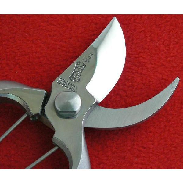ステンレス B型剪定鋏 180mm 7インチ おの義刃物 SSB-180-2 : ハーティ