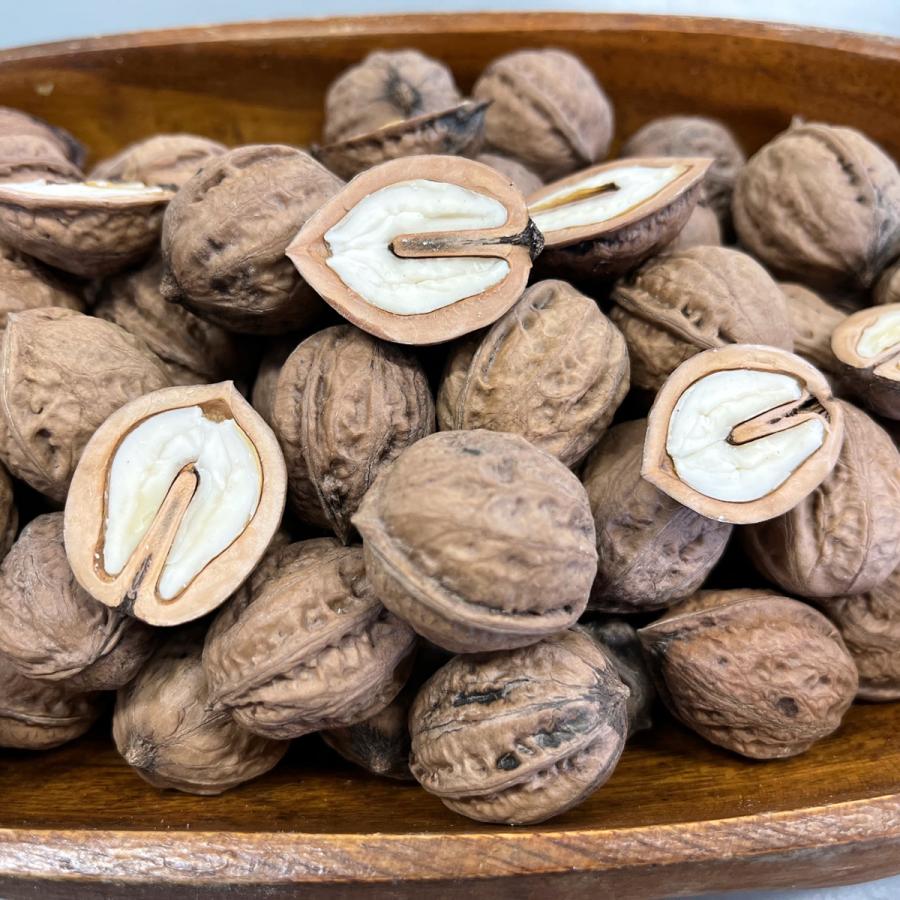 小粒くるみ 1kg 国産 殻付き 令和7年産 山形県 鬼くるみ オニグルミ 和