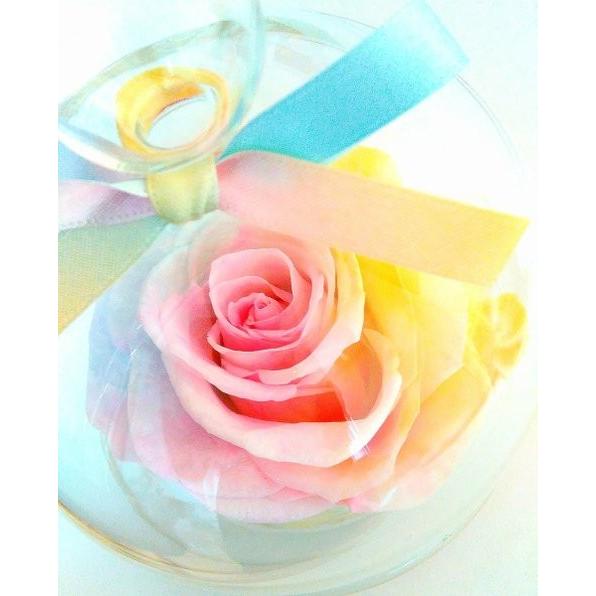 フラワーマーケット花由 【楽天ランキング1位】大輪バラ パステル