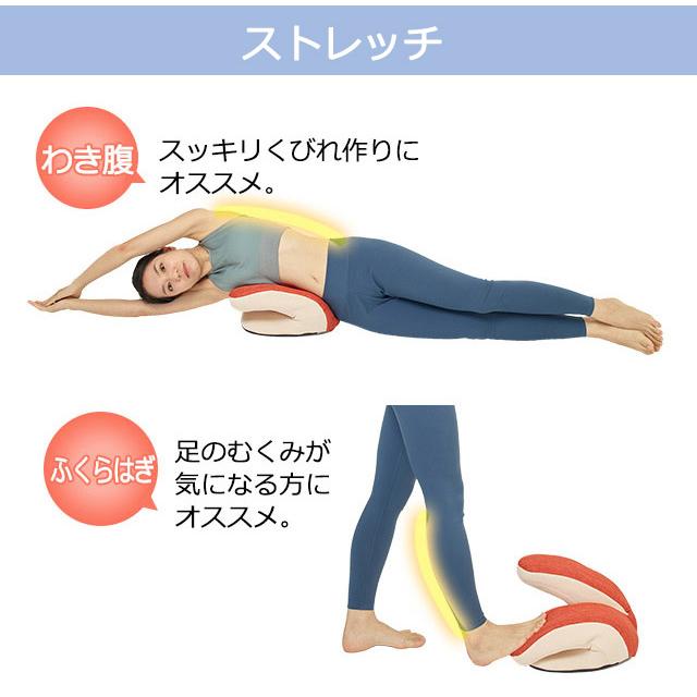 Re 【正規品】フィットネスクラブがつくった バウンドクッション Twin