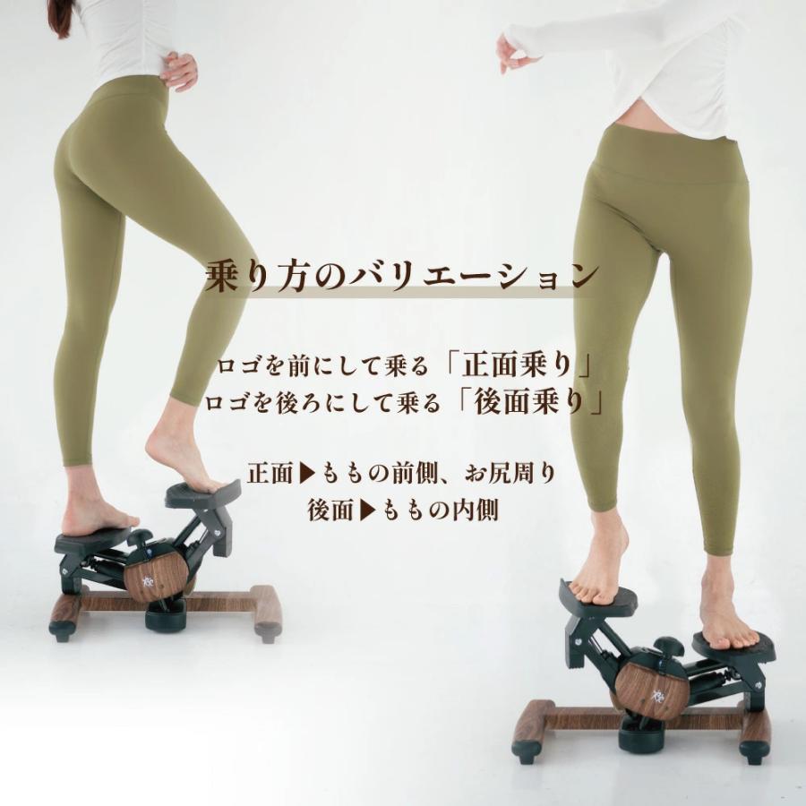 Re 【ツイストステッパー正規品】ツイストエアロステッパーPremium