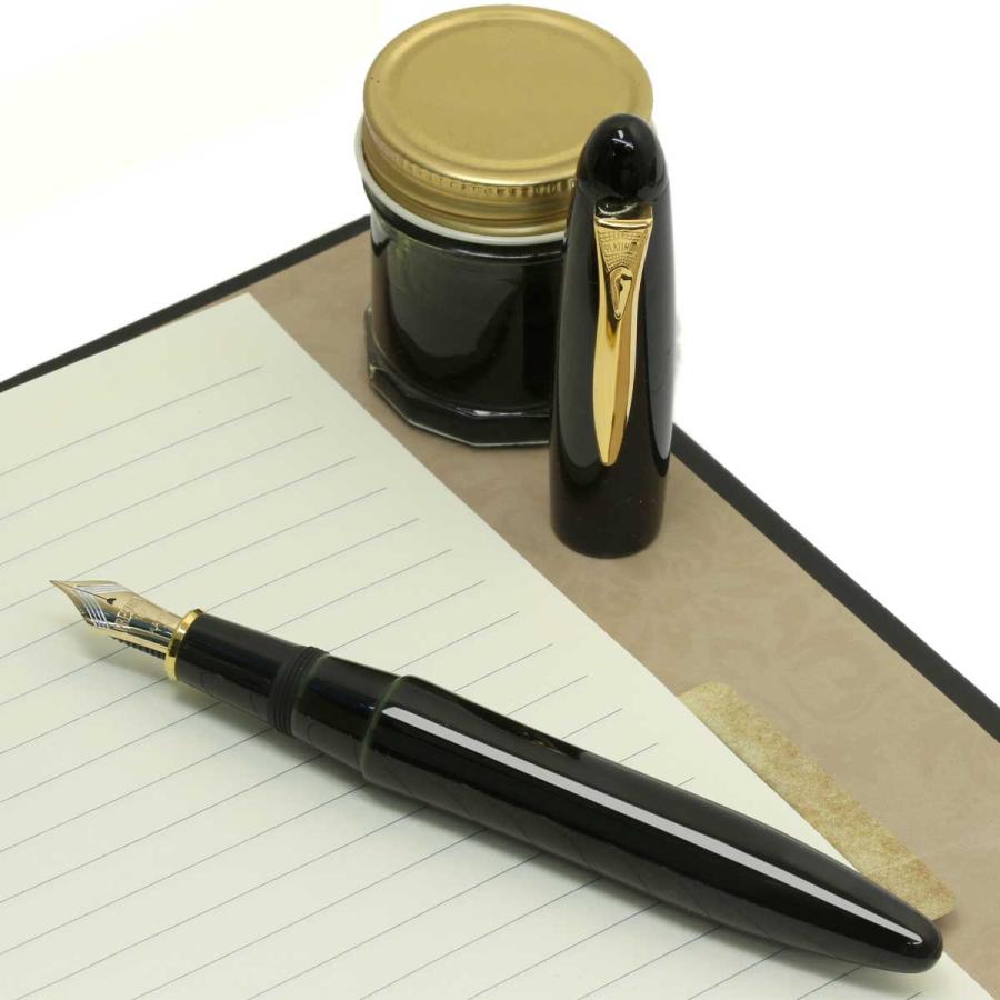 プラチナ万年筆 万年筆 プラチナ萬年筆 PLATINUM 出雲 溜塗り PIZ