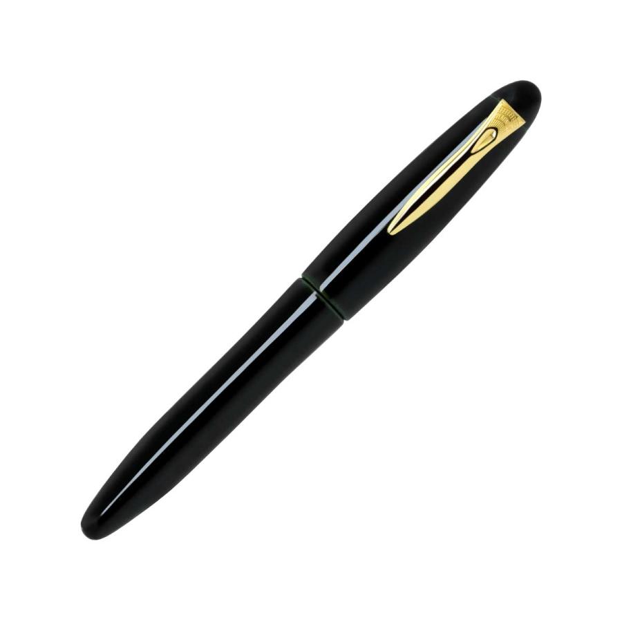 プラチナ万年筆 万年筆 プラチナ萬年筆 PLATINUM 出雲 溜塗り PIZ