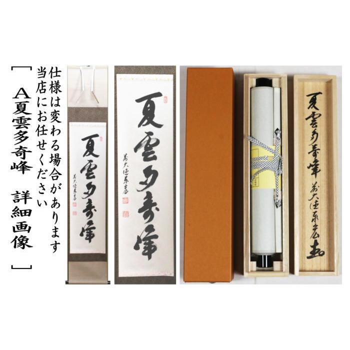 茶道具 掛軸 掛け軸 一行 夏雲多奇峰又は白雲抱幽石又は白雲自去来又は