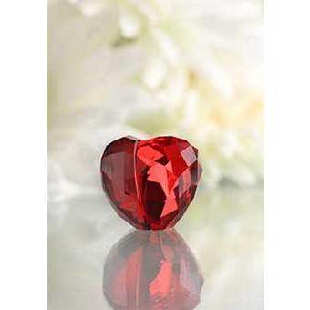 SWAROVSKI（スワロフスキー） ラブハート ライトシャム Love Heart