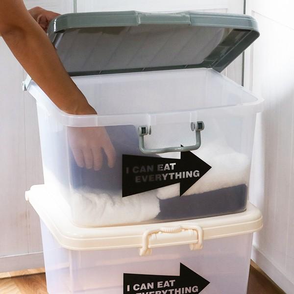 収納ボックス L 幅45×奥行38×高さ26cm フタ付き プラスチック 日本製